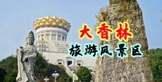 日美欧亚AA一级中国浙江-绍兴大香林旅游风景区